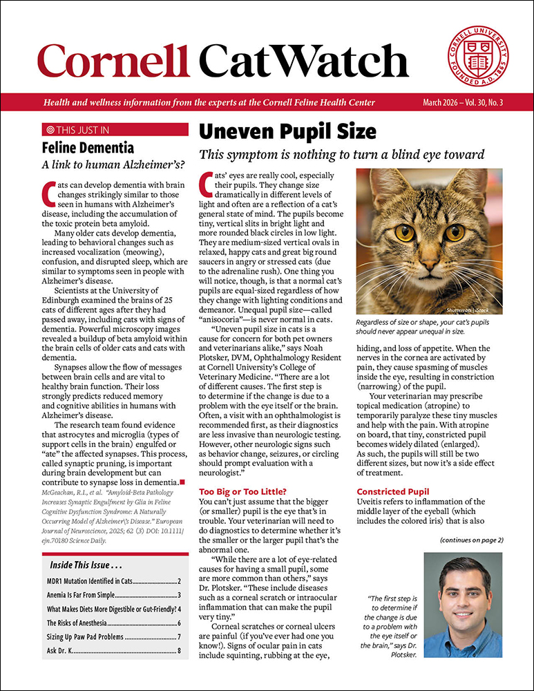 Catwatch March 01, 2026 Issue Cover