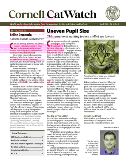 Catwatch March 01, 2026 Issue Cover