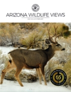 Arizona-Wildlife-Views January 01, 2022 Issue Cover