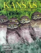 Kansas-Wildlife-and-Parks July 01, 2022 Issue Cover
