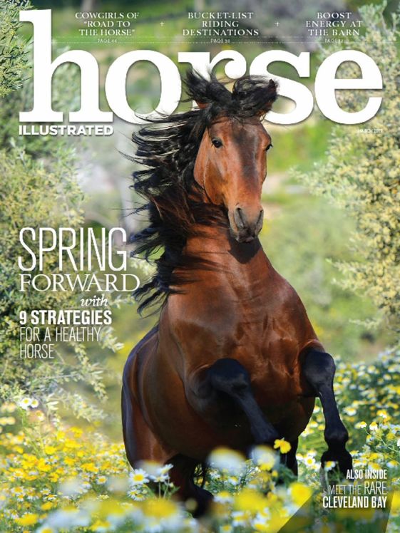 Horse-Illustrated March 01, 2017 Issue Cover