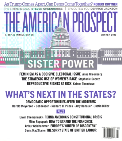 The American Prospect January 01, 2019 Issue Cover