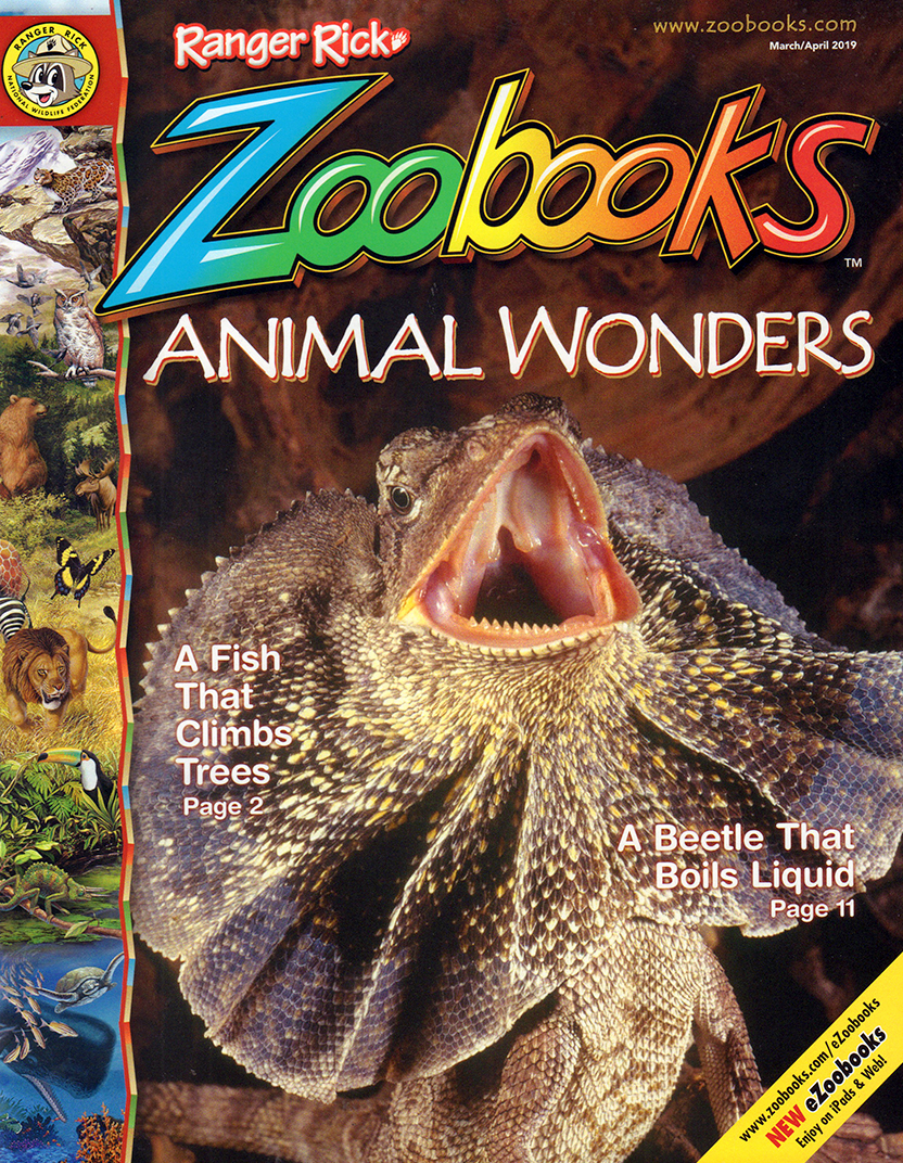 zoobooks March 01, 2019 Issue Cover