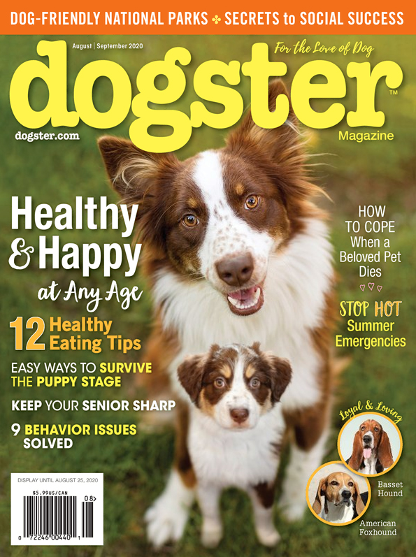 Dogster August 01, 2020 Issue Cover