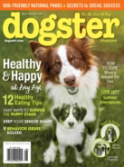 Dogster August 01, 2020 Issue Cover