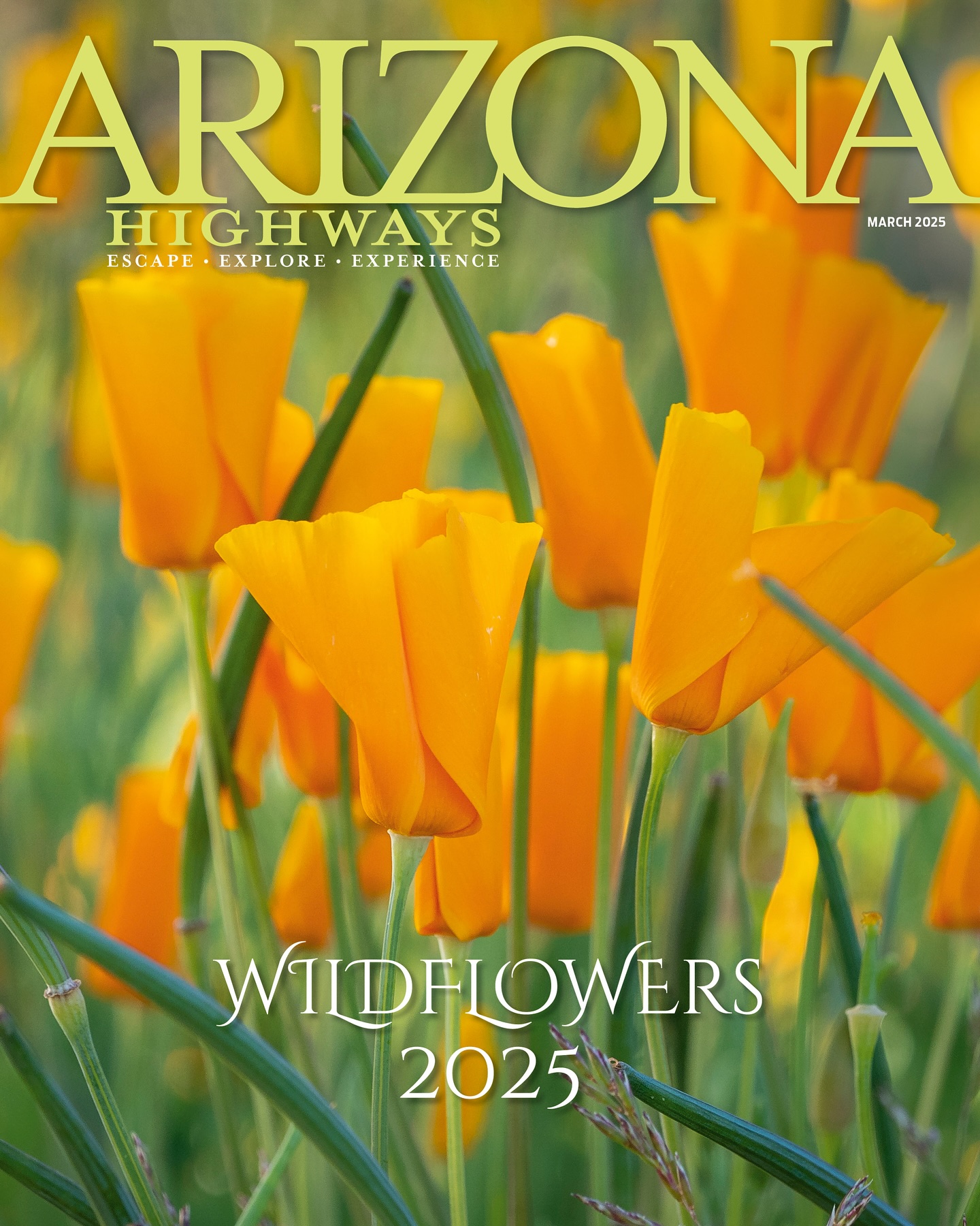 Arizona-Highways March 01, 2025 Issue Cover