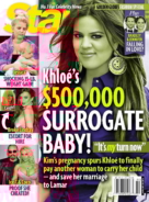 Star January 28, 2013 Issue Cover