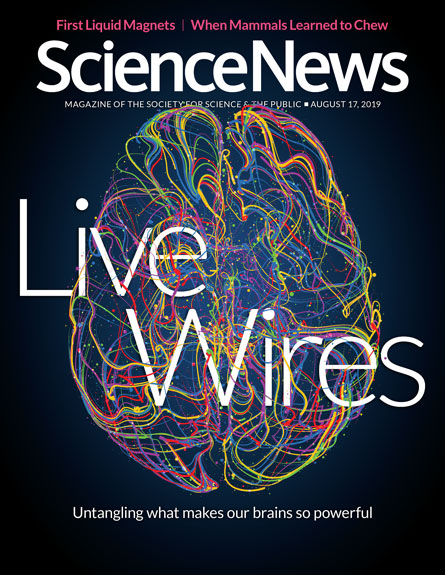 science-news August 17, 2019 Issue Cover