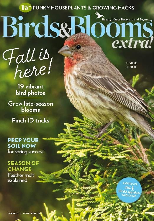 Birds And Blooms Extra | Magazine-Agent.com