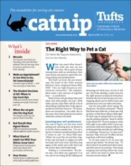 Catnip March 01, 2019 Issue Cover