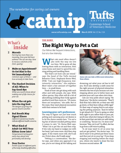 Catnip March 01, 2019 Issue Cover