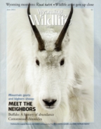 Wyoming-Wildlife June 01, 2014 Issue Cover