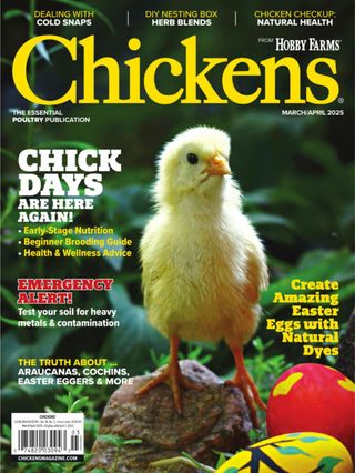 Chickens March 01, 2025 Issue Cover