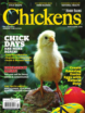 Chickens March 01, 2025 Issue Cover