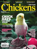 Chickens March 01, 2025 Issue Cover