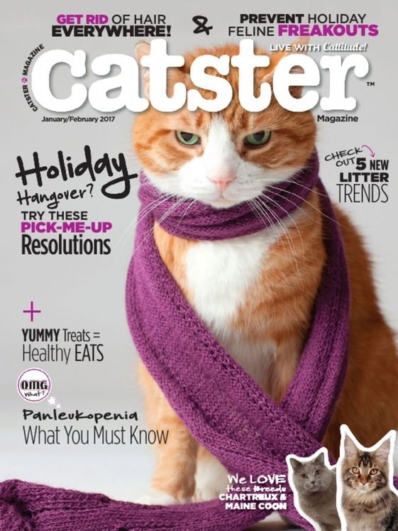Catster January 01, 2017 Issue Cover