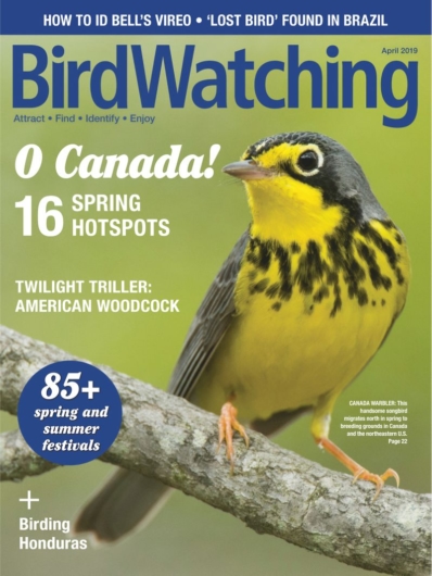 Bird Watching March 01, 2019 Issue Cover