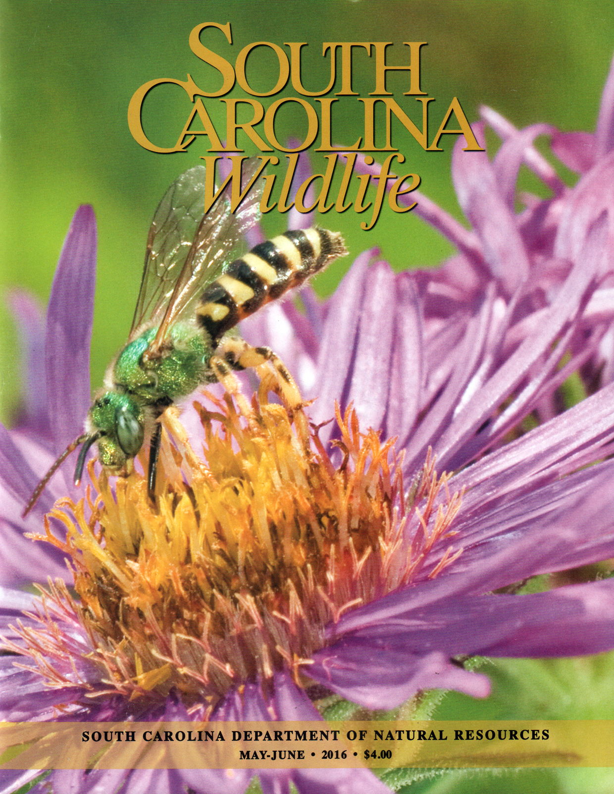 South-Carolina-Wildlife May 01, 2016 Issue Cover