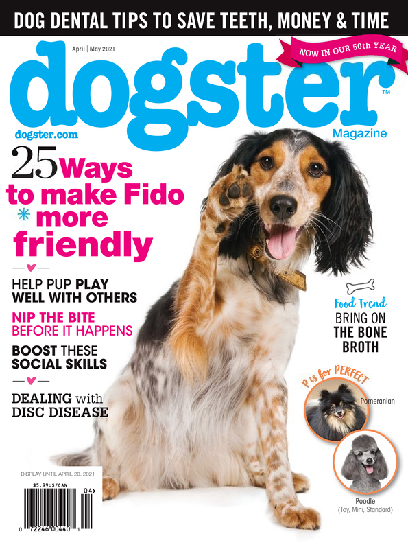 Dogster April 01, 2021 Issue Cover