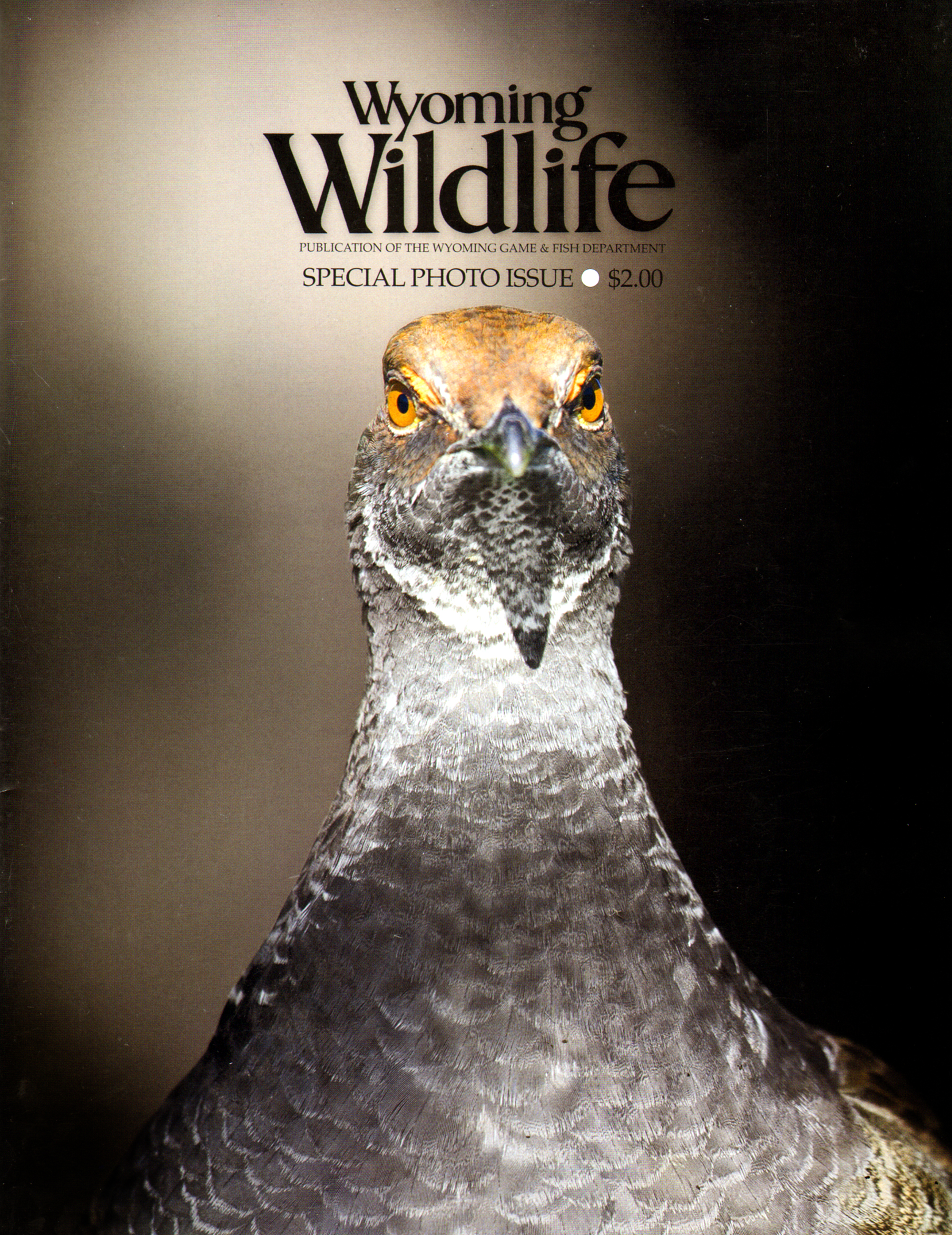 Wyoming-Wildlife May 01, 2013 Issue Cover