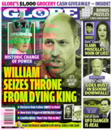 Globe November 24, 2025 Issue Cover