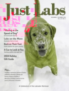 Just Labs November 01, 2024 Issue Cover