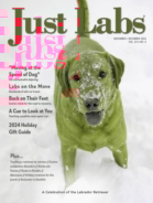 Just-Labs November 01, 2024 Issue Cover
