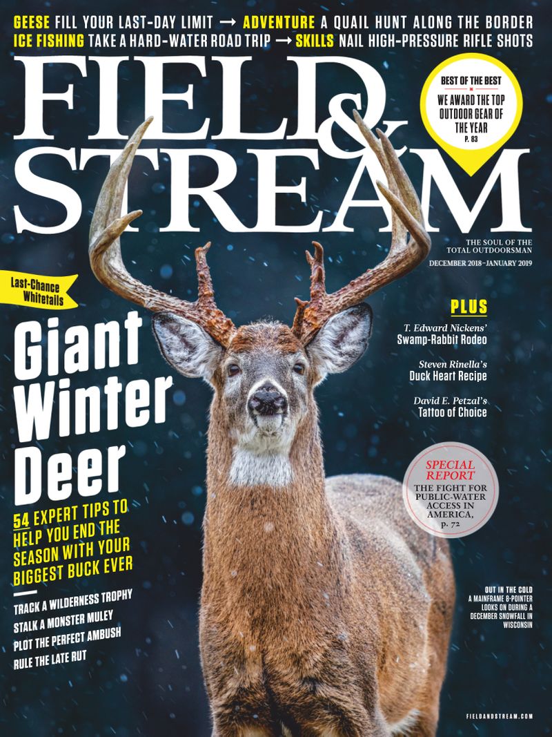 Field-and-Stream December 01, 2018 Issue Cover
