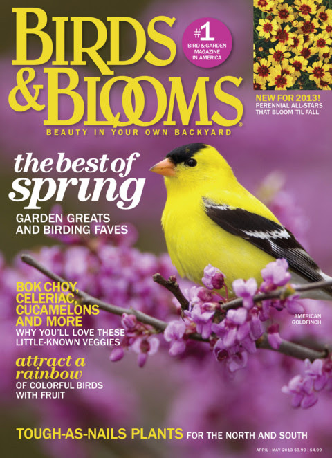 Birds-and-Blooms April 01, 2013 Issue Cover