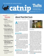 Catnip November 01, 2022 Issue Cover