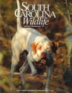 South-Carolina-Wildlife November 01, 2018 Issue Cover