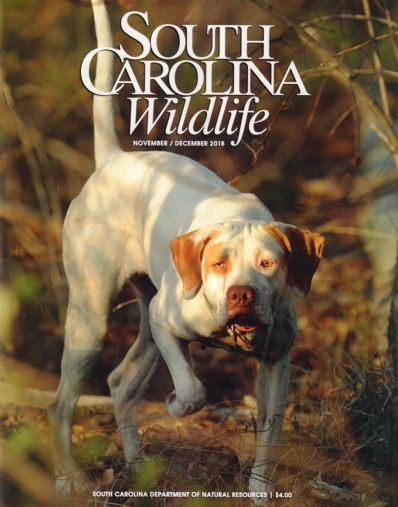 South Carolina Wildlife November 01, 2018 Issue Cover