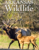 Arkansas Wildlife November 01, 2023 Issue Cover
