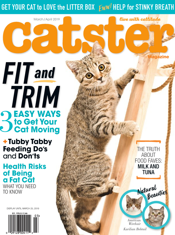 Catster March 01, 2019 Issue Cover