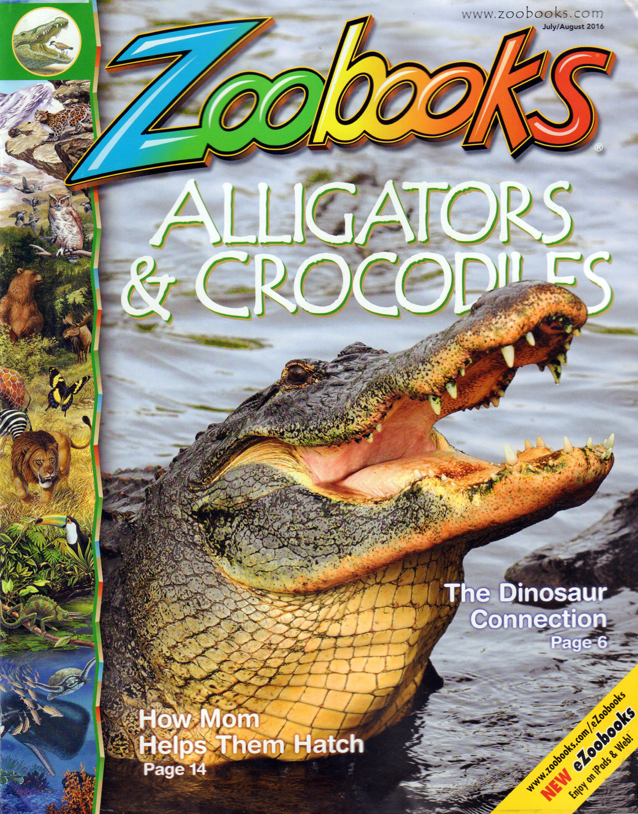 zoobooks June 01, 2016 Issue Cover