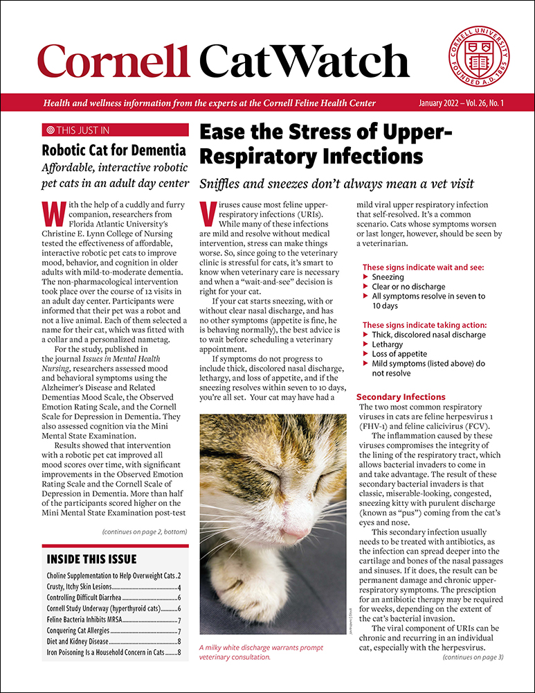 Catwatch January 01, 2022 Issue Cover