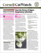 Catwatch January 01, 2022 Issue Cover