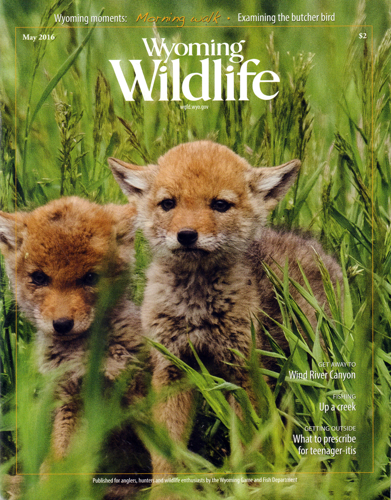 Wyoming-Wildlife May 01, 2016 Issue Cover