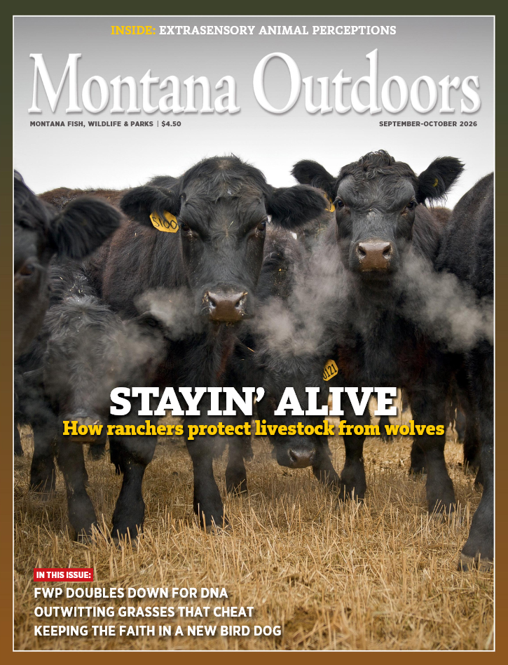 Montana-Outdoors September 01, 2026 Issue Cover