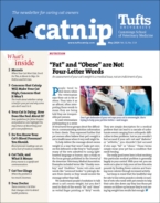 Catnip May 01, 2024 Issue Cover
