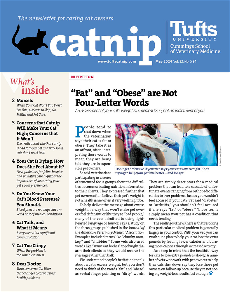 Catnip May 01, 2024 Issue Cover