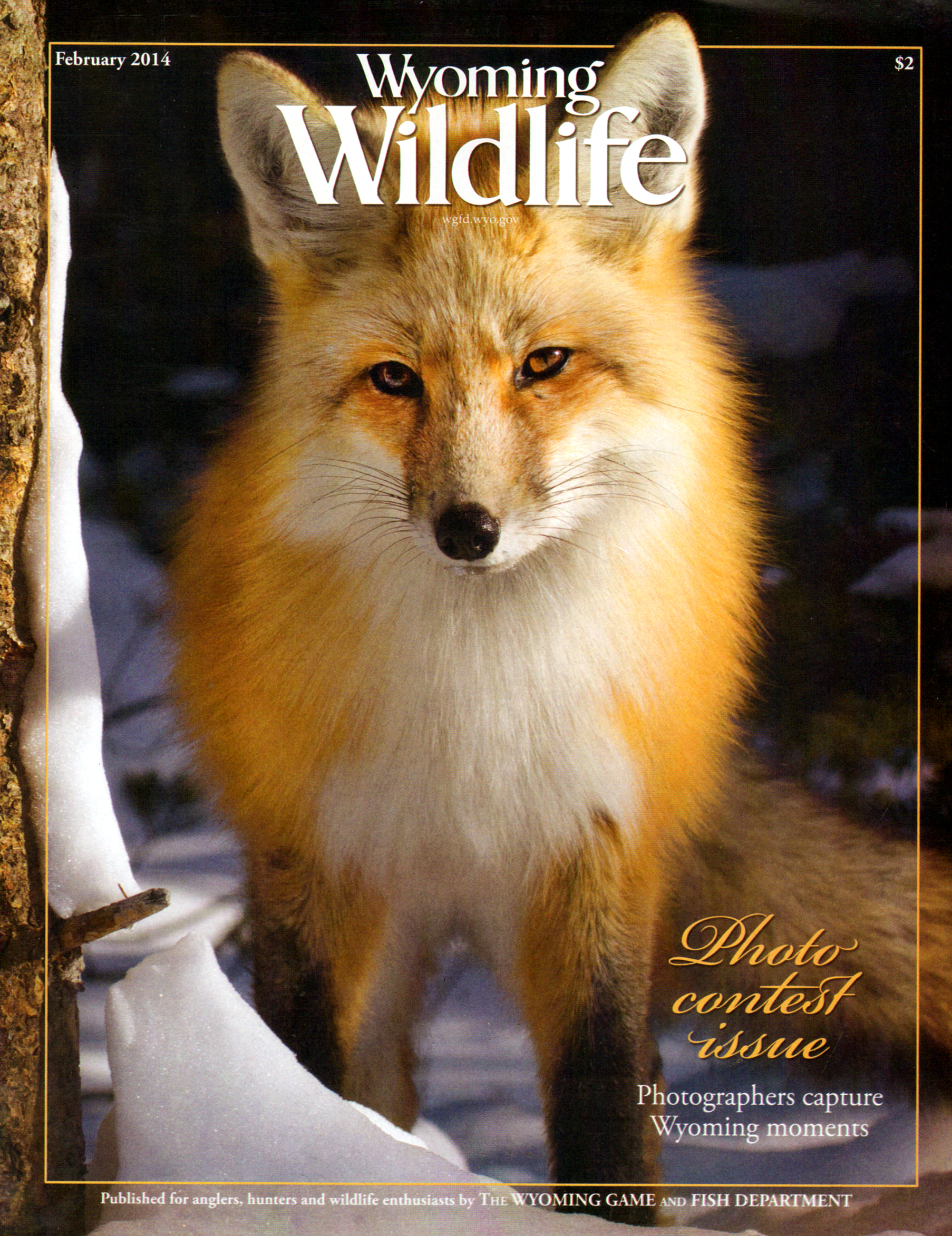 Wyoming-Wildlife February 01, 2014 Issue Cover
