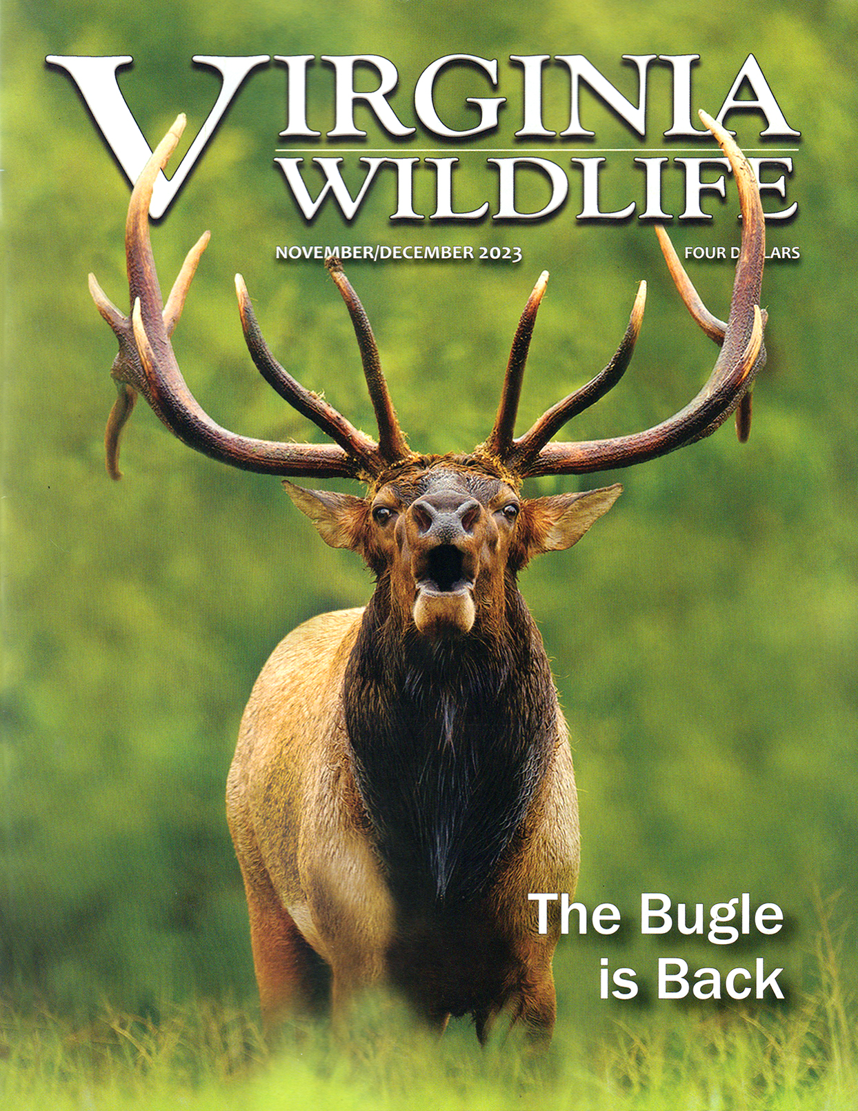 Virginia-Wildlife November 01, 2023 Issue Cover