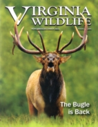 Virginia-Wildlife November 01, 2023 Issue Cover