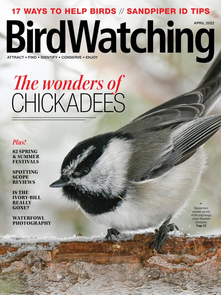 Bird-Watching April 01, 2022 Issue Cover