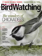 Bird-Watching April 01, 2022 Issue Cover