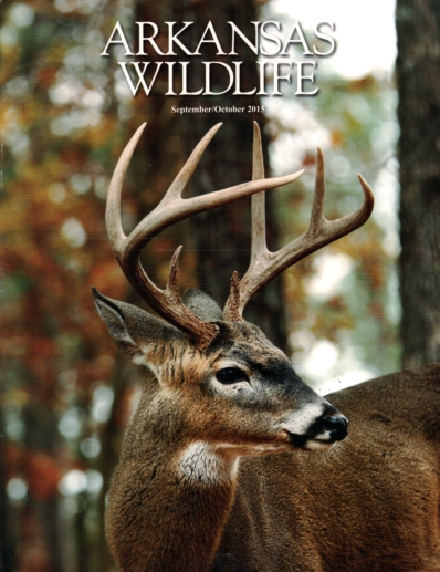 Arkansas Wildlife September 01, 2015 Issue Cover