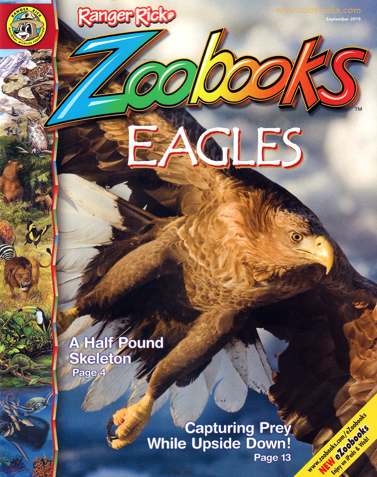 zoobooks September 01, 2019 Issue Cover