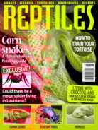 Reptiles May 01, 2020 Issue Cover