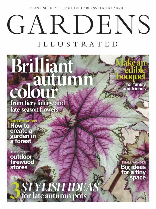 Gardens-Illustrated November 01, 2020 Issue Cover